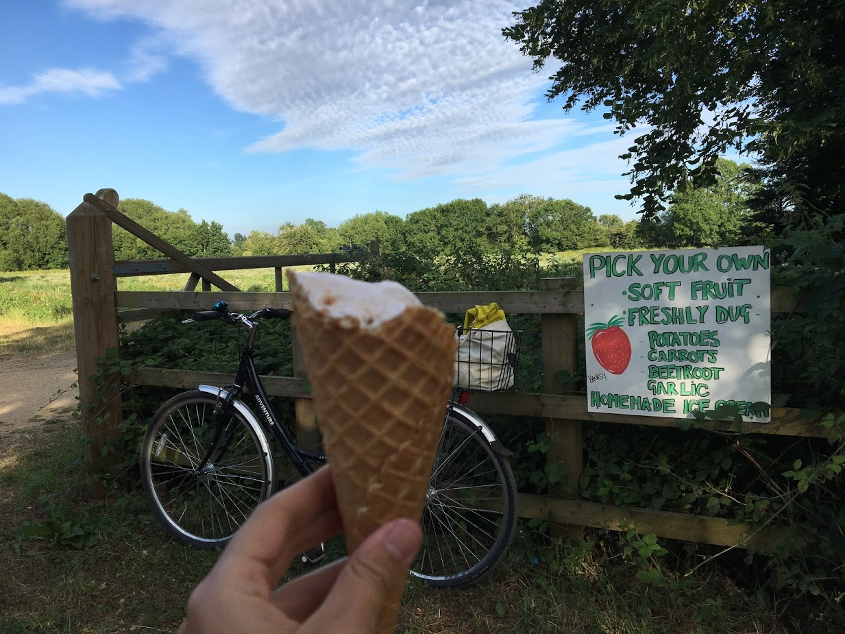 Contact Oxford Study Abroad Program